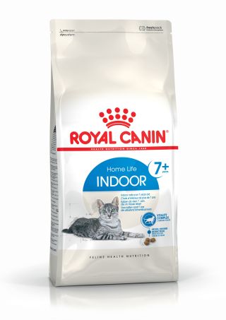 Indoor 7+